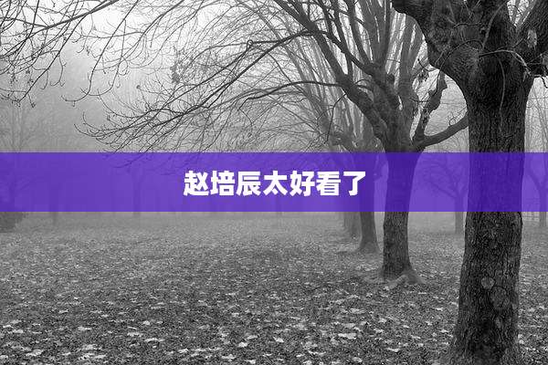 赵培辰太好看了