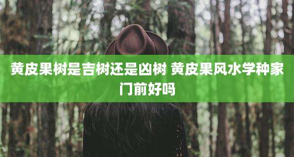 黄皮果树是吉树还是凶树 黄皮果风水学种家门前好吗