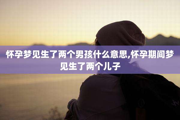 怀孕梦见生了两个男孩什么意思,怀孕期间梦见生了两个儿子