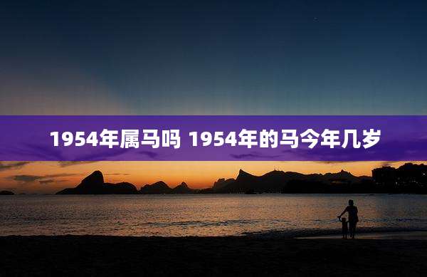 1954年属马吗 1954年的马今年几岁