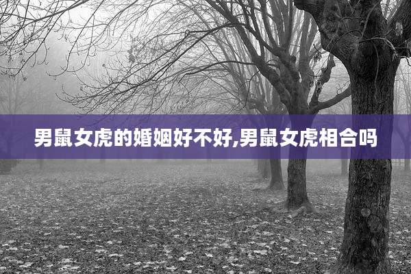 男鼠女虎的婚姻好不好,男鼠女虎相合吗