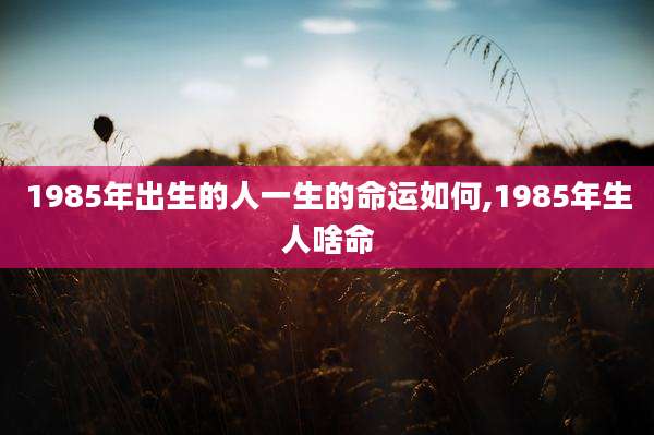 1985年出生的人一生的命运如何,1985年生人啥命