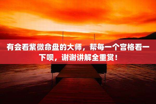 有会看紫微命盘的大师，帮每一个宫格看一下呗，谢谢讲解全重赏！