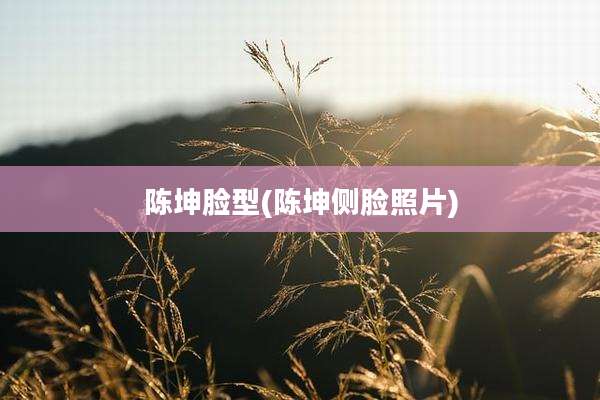 陈坤脸型(陈坤侧脸照片)