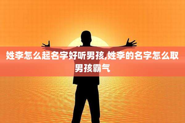 姓李怎么起名字好听男孩,姓李的名字怎么取男孩霸气