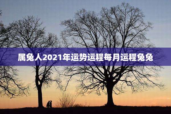 属兔人2021年运势运程每月运程兔兔