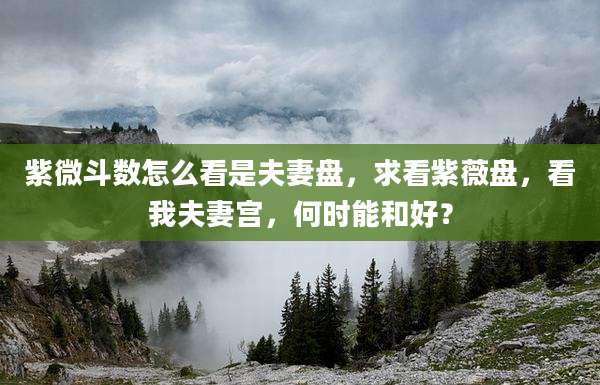 紫微斗数怎么看是夫妻盘,求看紫薇盘,看我夫妻宫,何时能和好?