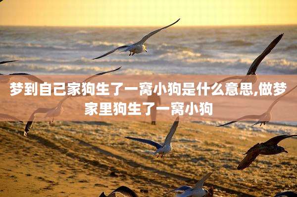 梦到自己家狗生了一窝小狗是什么意思,做梦家里狗生了一窝小狗