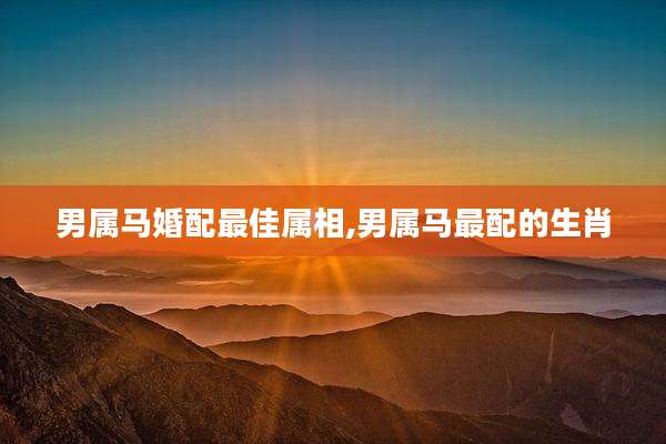 男属马婚配最佳属相,男属马最配的生肖