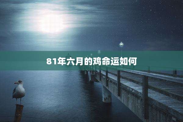 81年六月的鸡命运如何