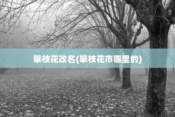 攀枝花改名(攀枝花市哪里的)