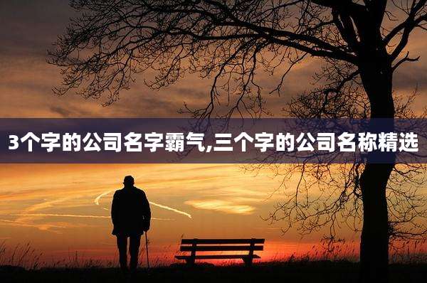 3个字的公司名字霸气,三个字的公司名称精选