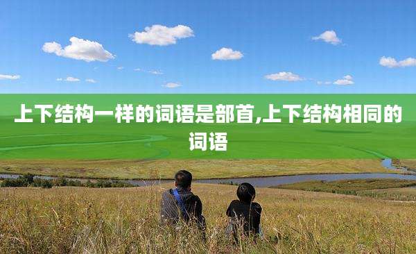 上下结构一样的词语是部首,上下结构相同的词语
