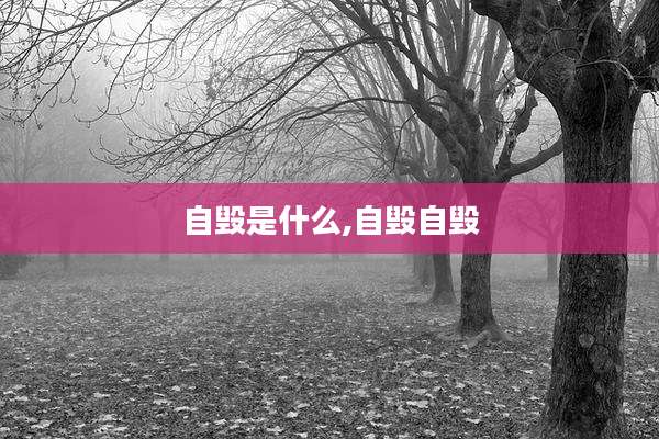 自毁是什么,自毁自毁