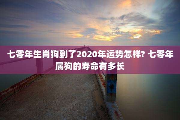 七零年生肖狗到了2020年运势怎样? 七零年属狗的寿命有多长
