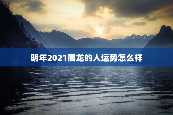 明年2021属龙的人运势怎么样
