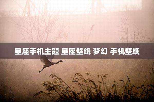 星座手机主题 星座壁纸 梦幻 手机壁纸