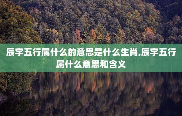 辰字五行属什么的意思是什么生肖,辰字五行属什么意思和含义