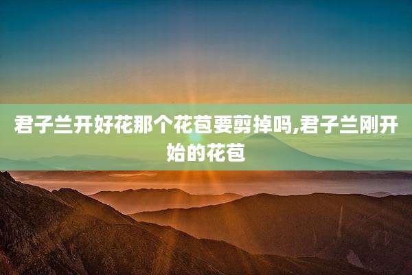 君子兰开好花那个花苞要剪掉吗,君子兰刚开始的花苞