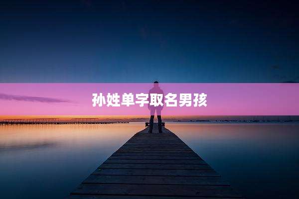 孙姓单字取名男孩