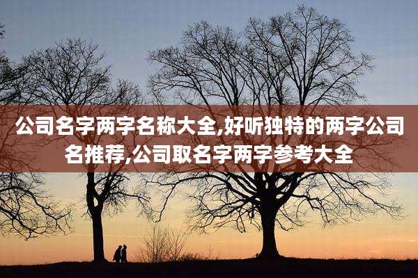 公司名字两字名称大全,好听独特的两字公司名推荐,公司取名字两字参考大全
