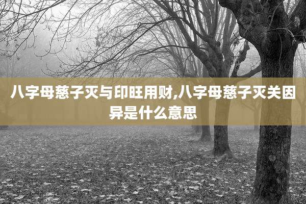 八字母慈子灭与印旺用财,八字母慈子灭关因异是什么意思
