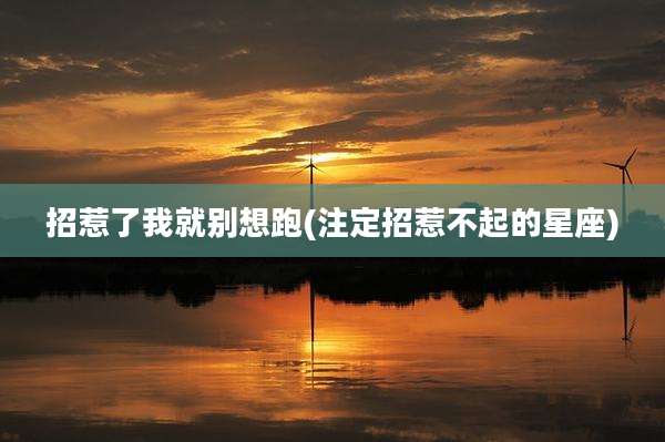招惹了我就别想跑(注定招惹不起的星座)