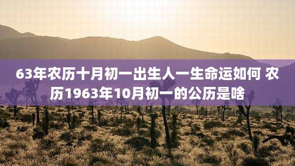 63年农历十月初一出生人一生命运如何 农历1963年10月初一的公历是啥