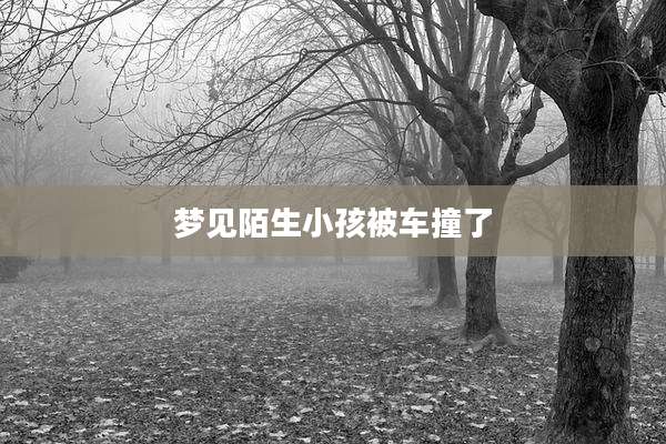 梦见陌生小孩被车撞了