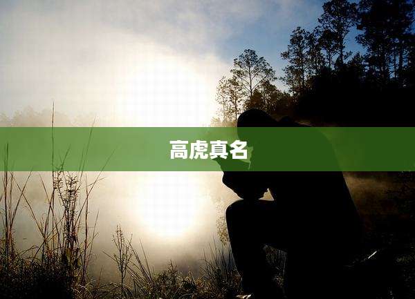 高虎真名