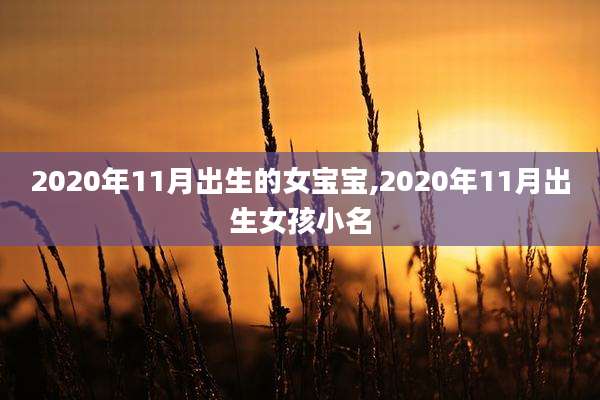 2020年11月出生的女宝宝,2020年11月出生女孩小名
