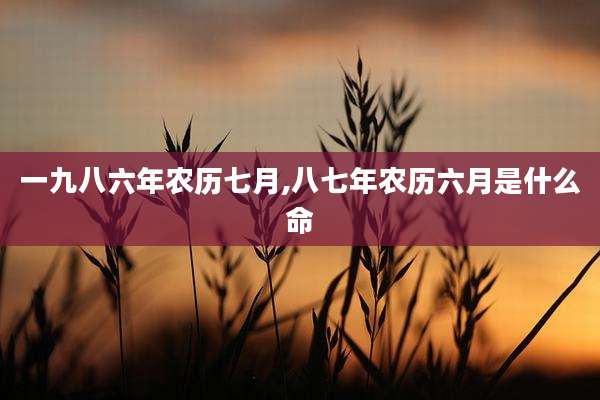 一九八六年农历七月,八七年农历六月是什么命