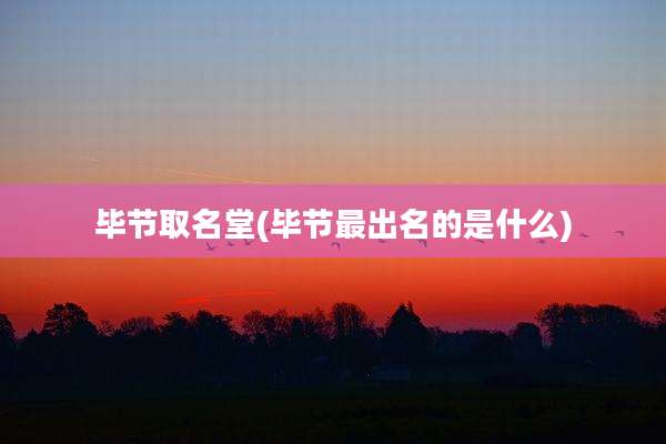 毕节取名堂(毕节最出名的是什么)
