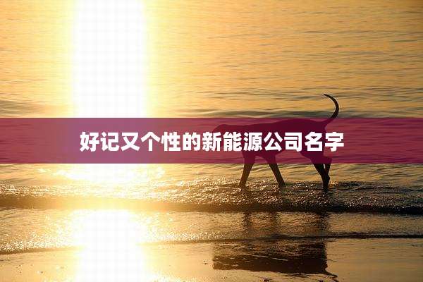好记又个性的新能源公司名字