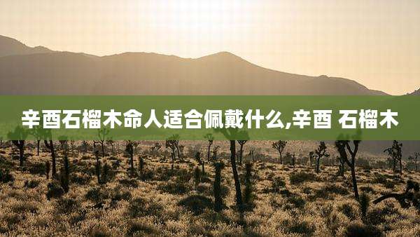 辛酉石榴木命人适合佩戴什么,辛酉 石榴木