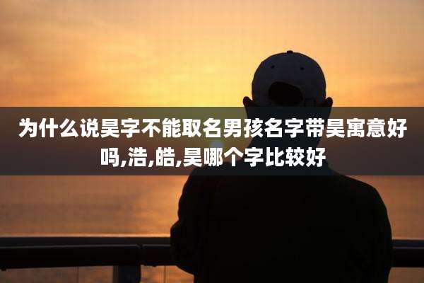 为什么说昊字不能取名男孩名字带昊寓意好吗,浩,皓,昊哪个字比较好