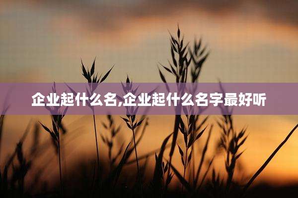 企业起什么名,企业起什么名字最好听