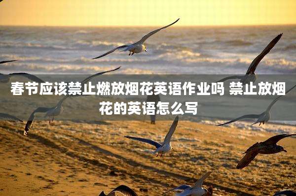 春节应该禁止燃放烟花英语作业吗 禁止放烟花的英语怎么写