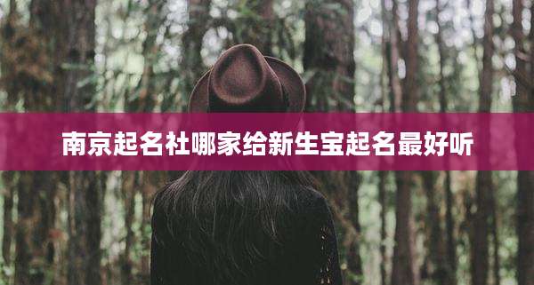 南京起名社哪家给新生宝起名最好听