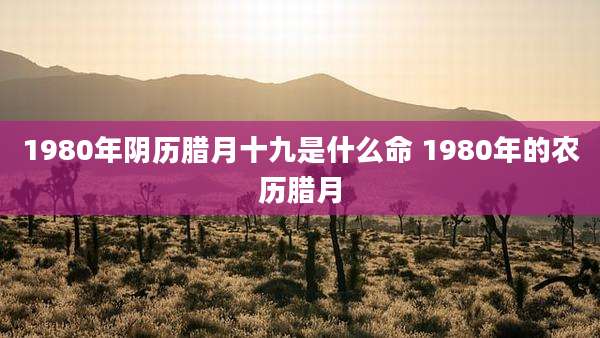 1980年阴历腊月十九是什么命 1980年的农历腊月