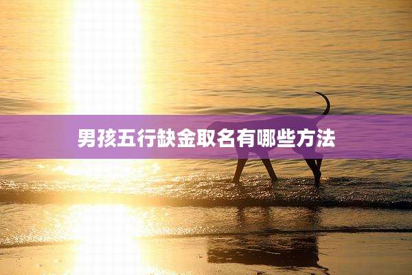 男孩五行缺金取名有哪些方法