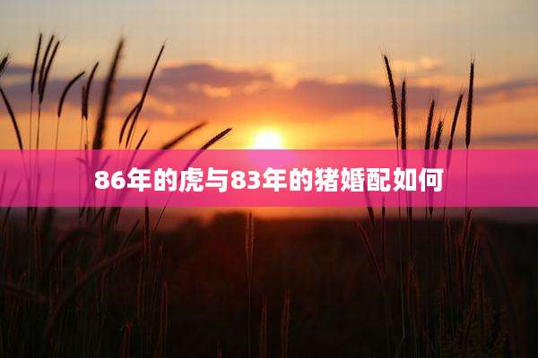86年的虎与83年的猪婚配如何