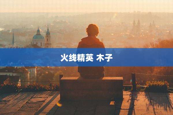 火线精英 木子