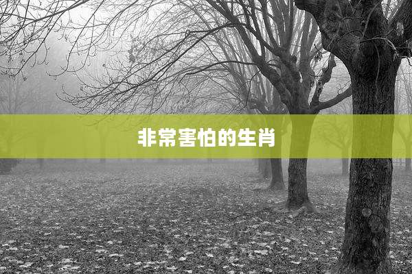 非常害怕的生肖