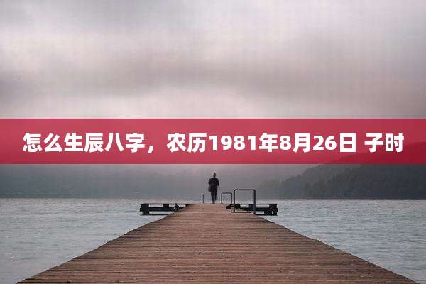 怎么生辰八字,农历1981年8月26日 子时