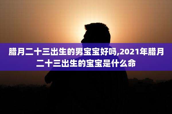 腊月二十三出生的男宝宝好吗,2021年腊月二十三出生的宝宝是什么命