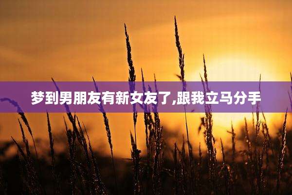梦到男朋友有新女友了,跟我立马分手