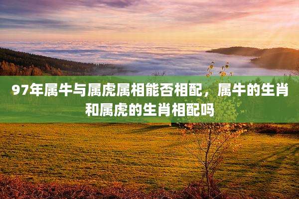 97年属牛与属虎属相能否相配,属牛的生肖和属虎的生肖相配吗