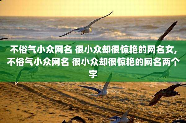 不俗气小众网名 很小众却很惊艳的网名女,不俗气小众网名 很小众却很惊艳的网名两个字