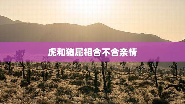 虎和猪属相合不合亲情